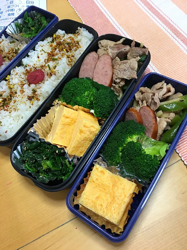 Snapdishの料理写真:青椒肉絲 ソーセージ ブロッコリー 卵焼き ほうれん草胡麻和え弁当。|Kumiko Kimuraさん