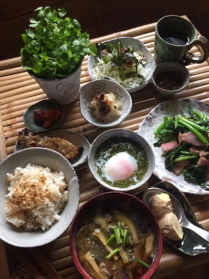 Snapdishの料理写真:今日の生姜三昧朝ごはん☕️☕️☕️|麦チョコさん