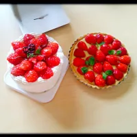 いちごのショートケーキ いちごタルト #いちごづくし🍓|ぴろたんさん