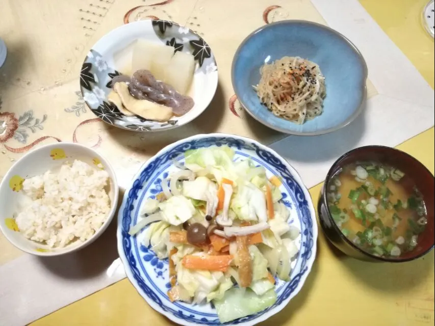 Snapdishの料理写真:晩ごはん
　野菜炒め
　大根、蒟蒻、揚げのさっと煮
　春雨ともやしのピリ辛チャプチェ|korinoさん