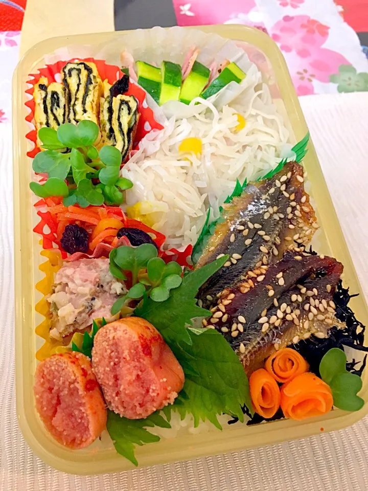 2月15日  プクパパお弁当|プクママさん