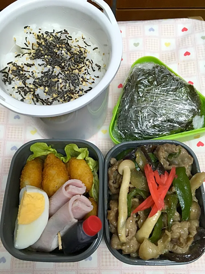 2月15日息子弁当
ナスとピーマン しめじ 豚コマの甘味噌炒め  ささみチーズカツ ハムチーズ大葉巻き 卵  鮭のデカおむすび|オリーブさん