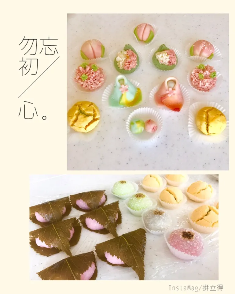 友達に誘われて和菓子教室へ🌸|しーたけさん