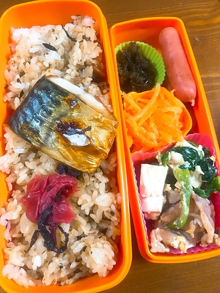 今日のお弁当#じゅーしー#自家製梅干し #焼き塩サバ #人参のラペ #あらびきウィンナー #海ぶどう#豚肉と豆腐とほうれん草のチャンプルー|料理家めーらさん