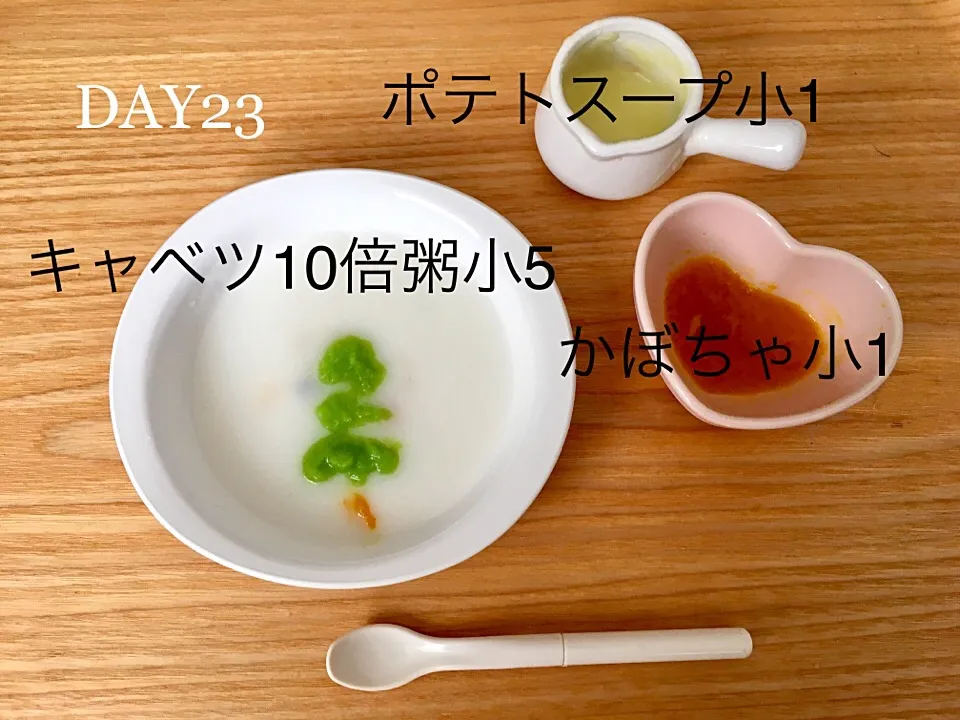 DAY23 離乳初期食 #pianokittybabyfood|離乳食完了期 1歳さん