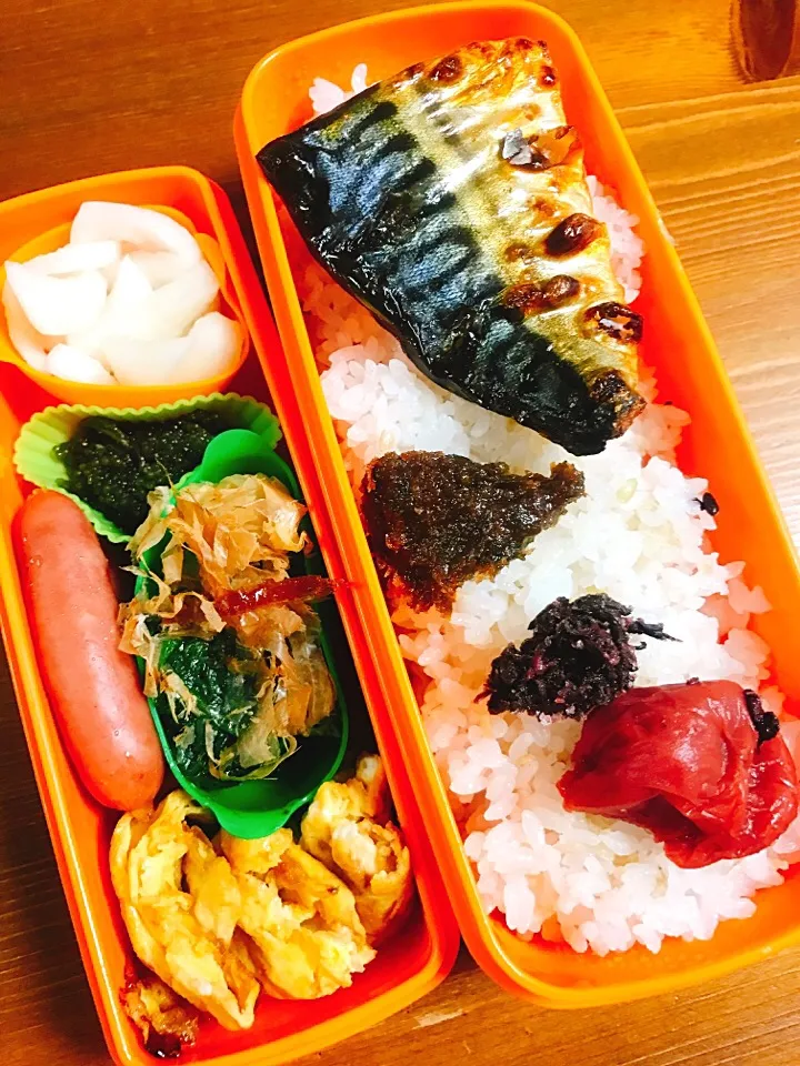 今日のお弁当#あらびきウィンナー #海ぶどう #柚子大根 #ほうれん草おかかあえ #蒲焼のタレ入り卵焼き#焼き塩サバ #自家製梅干し#紫蘇味噌|料理家めーらさん