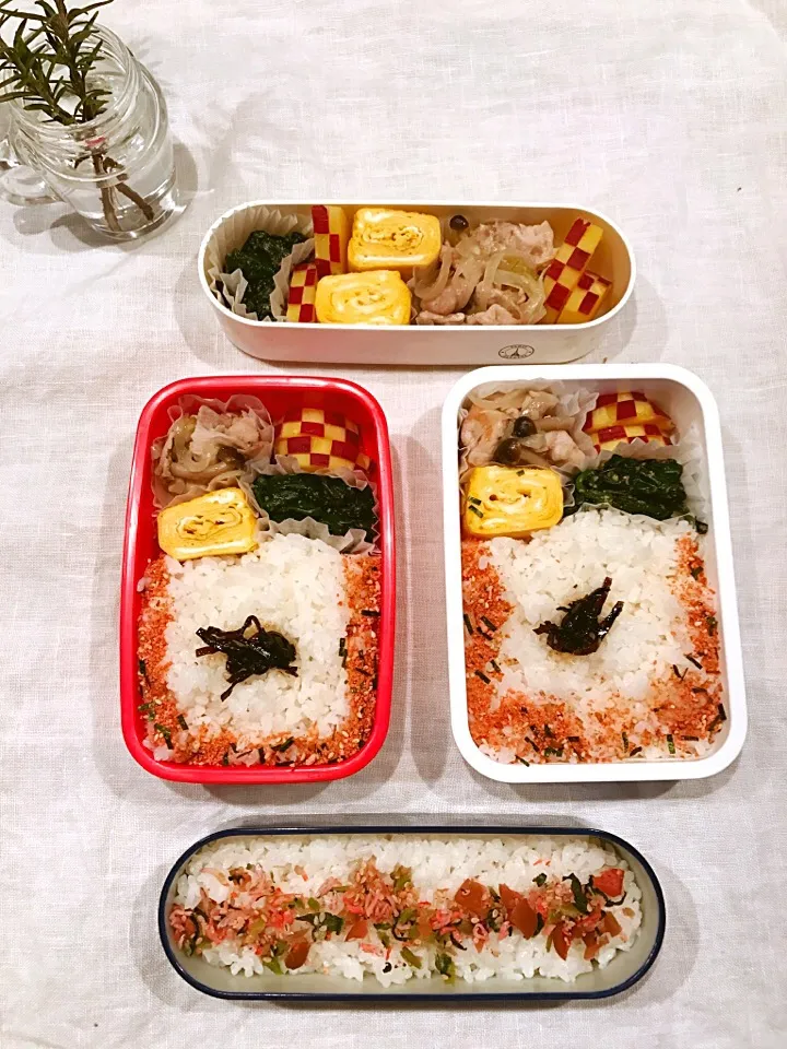 ✳︎今日のお弁当✳︎|K&S...akkoさん