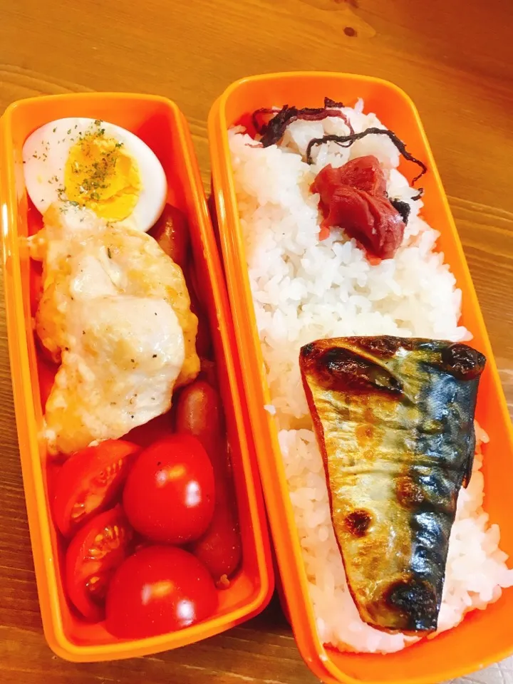 今日のお弁当♪#自家製梅干し #焼き塩サバ #あらびきウィンナー #ゆで卵にバジル塩#鶏肉のソテートリュフマヨ和え#はなひめトマト|料理家めーらさん