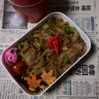 Snapdishの料理写真:次男(高１)弁当|いじゅもんさん