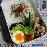 Snapdishの料理写真:次男(高１)弁当|いじゅもんさん