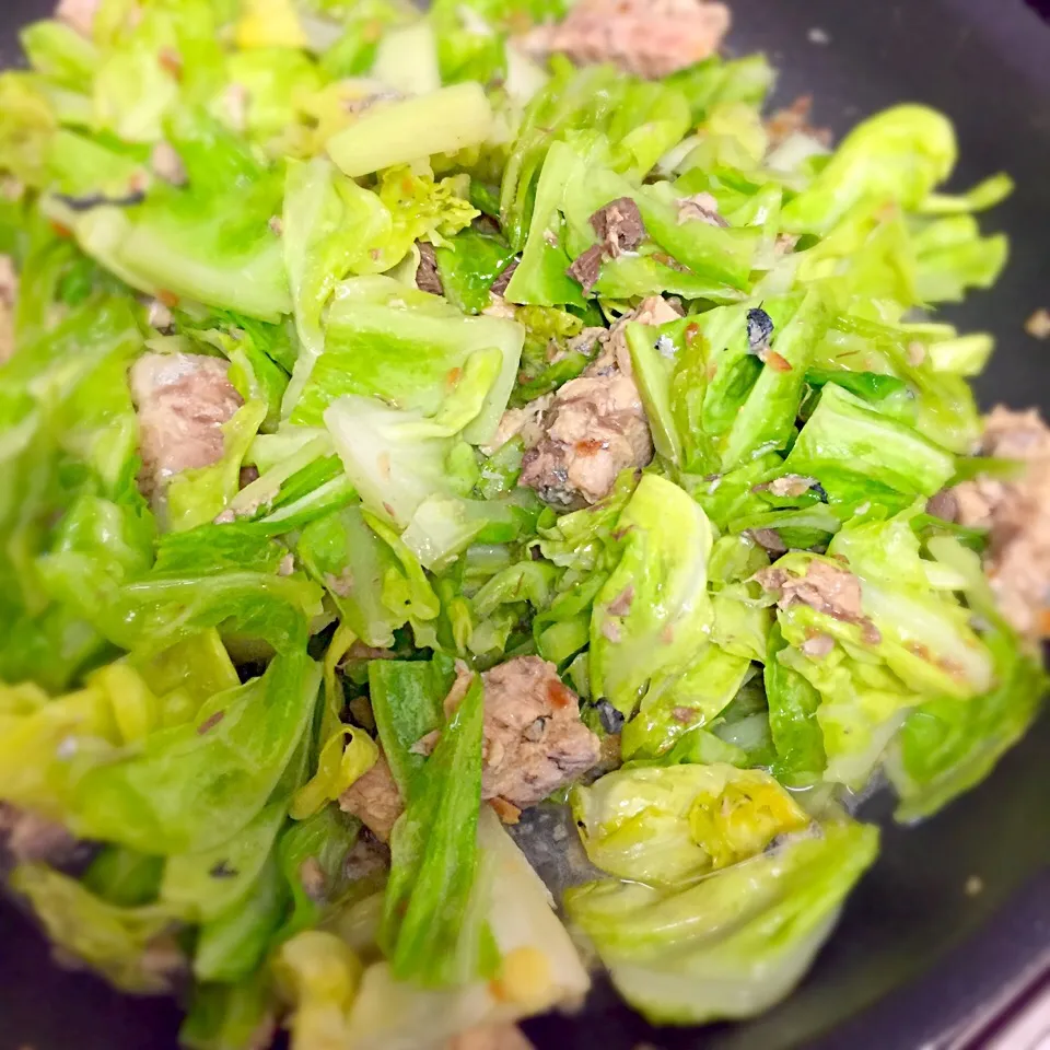 Snapdishの料理写真:Tomoko Itoさんの料理 ナンプラーだけなのにおいしい‼︎
鯖水煮缶とキャベツのおつまみ💕|おおけいさん