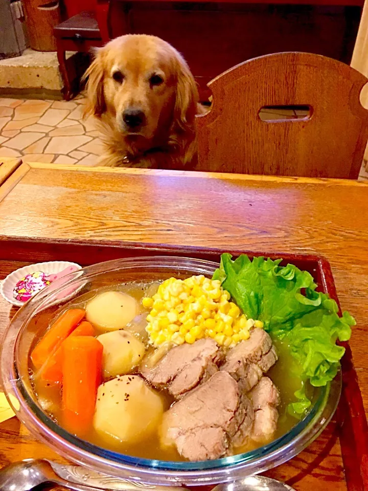 Snapdishの料理写真:ポトフ🐶きゅうちゃん🤣
炊飯器に全て入れて〜スイッチオン👍お肉はホロホロ〜野菜もやらかく煮崩れ無し💕|きゅうちゃんさん