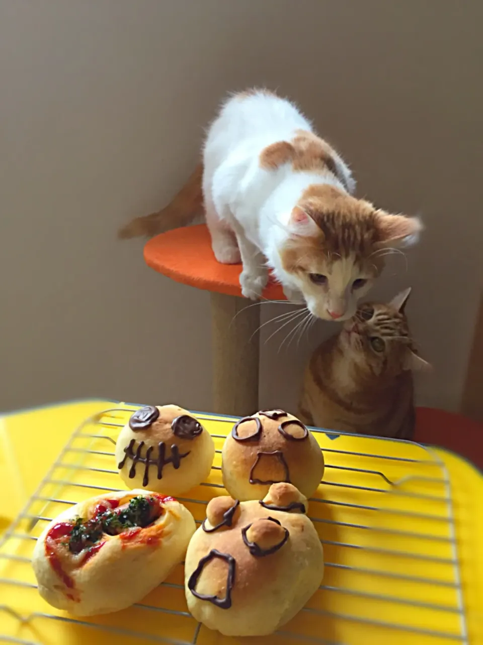 パンにチョコデコ😰へたくそ|さくらんぼさん