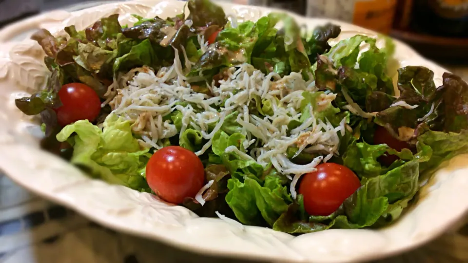 シラスのサラダ🥗😋|アライさんさん