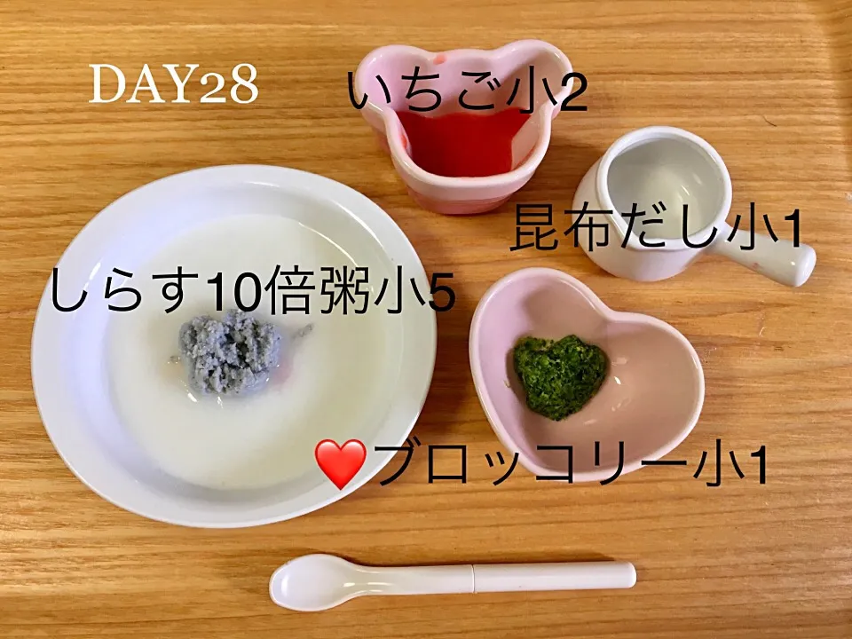 DAY28 離乳初期食 #pianokittybabyfood|離乳食完了期 1歳さん