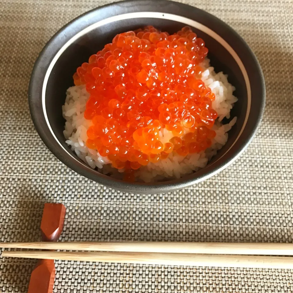 Snapdishの料理写真:いくらだけ丼|imasaさん