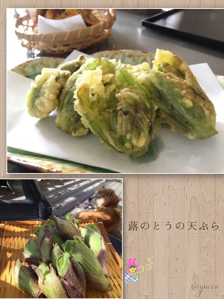 Snapdishの料理写真:春ですね🌸🤗|yucca@さん