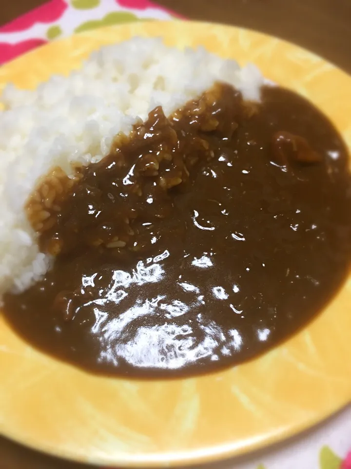 玉ねぎいっぱいカレー|Kenichirou Tanakaさん