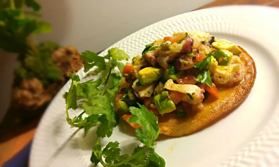 octopus tostada|Jiraphon Gさん