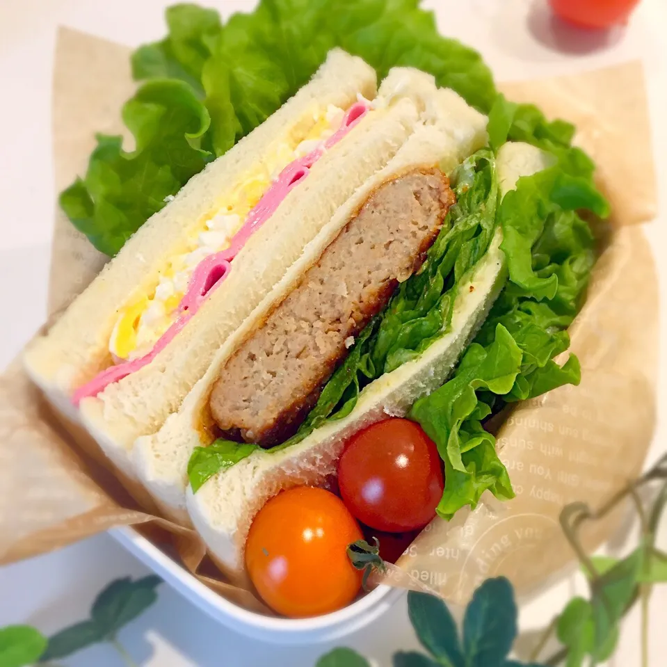 Snapdishの料理写真:サンドイッチお弁当🍱|sakyu☆さん