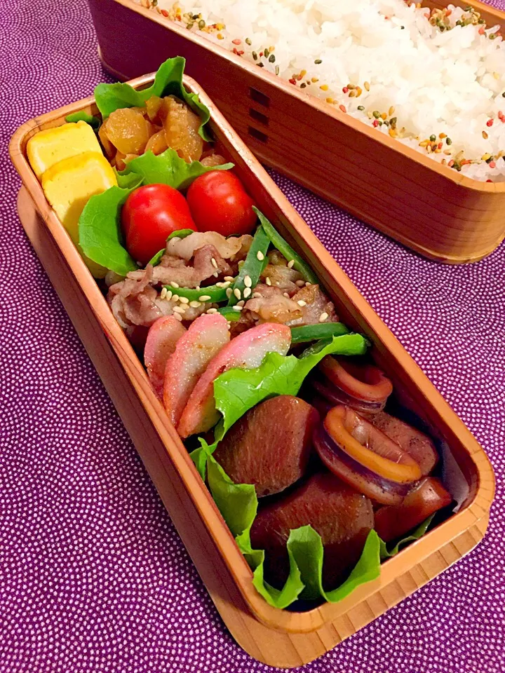 里芋とイカの煮物弁当🦑|udomegu☆さん