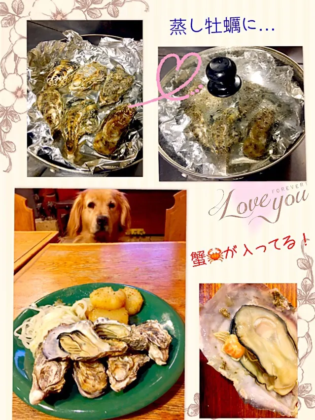 Snapdishの料理写真:蒸し牡蠣🌟大根の和風ステーキと新玉ねぎのマリネ添え🐶きゅうちゃん💨|きゅうちゃんさん