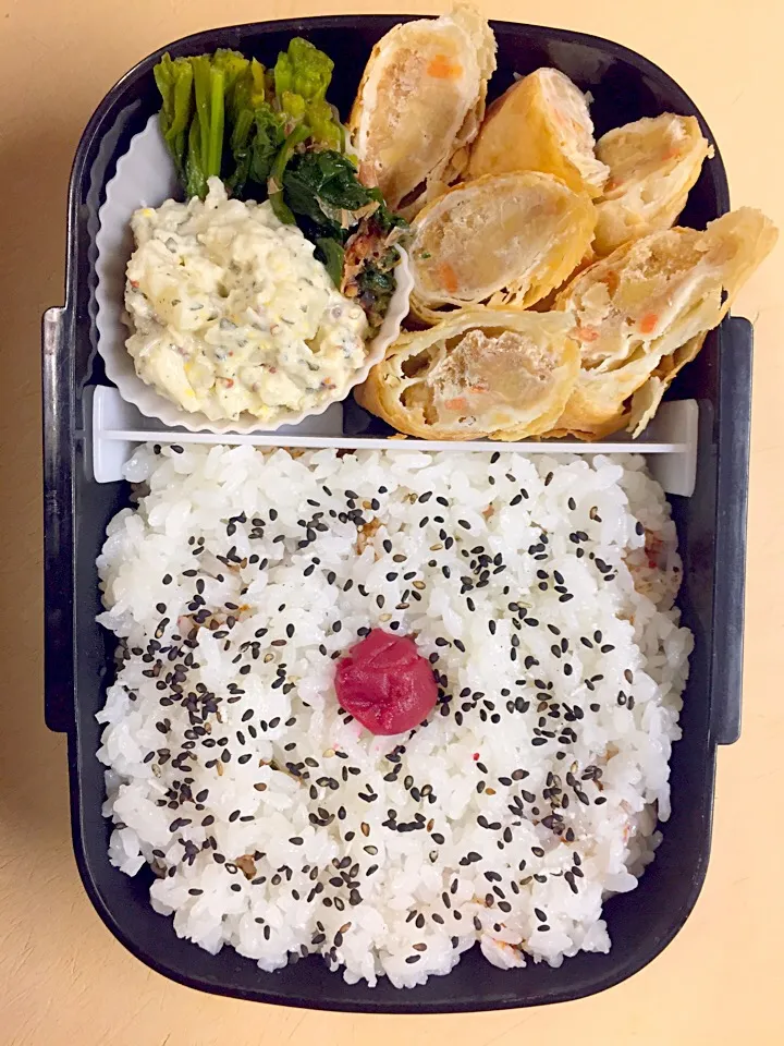 Snapdishの料理写真:お弁当／男子高校生|nayutaさん