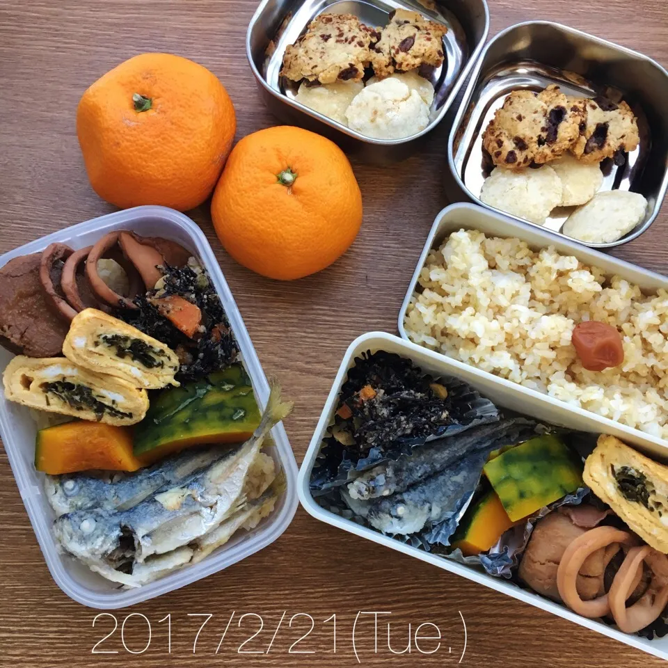 2/21 お弁当|もっちさん