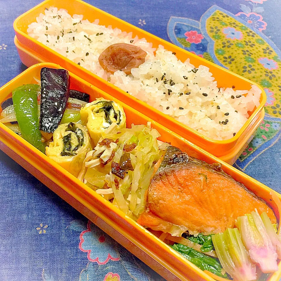 今日のお弁当|鯨井 真由美さん