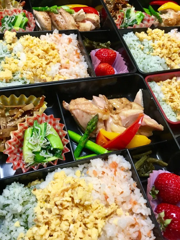 Snapdishの料理写真:三色寿司ごはんとハーブチキン弁当|大久保 掬恵さん