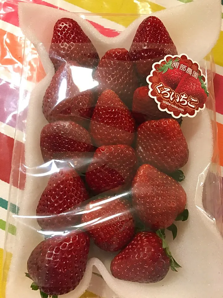 浦部農園のくろいちご🍓|関口 かおりさん