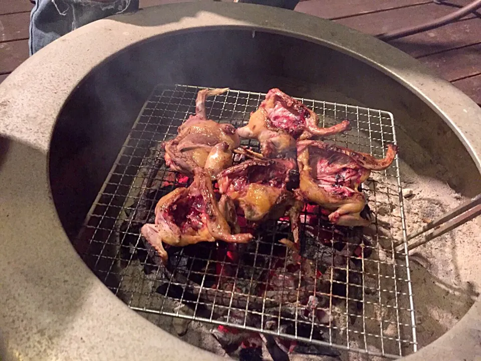 ヒヨドリの炭火焼き
（今期最後のジビエ肉！）|カドラさん