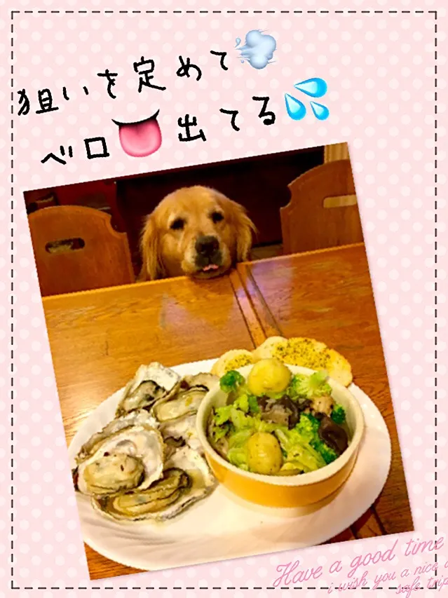 Snapdishの料理写真:牡蠣アヒージョつけて😅バージョン
ガーリックフランス添え
きゅうちゃん危なっかしい〜💥|きゅうちゃんさん