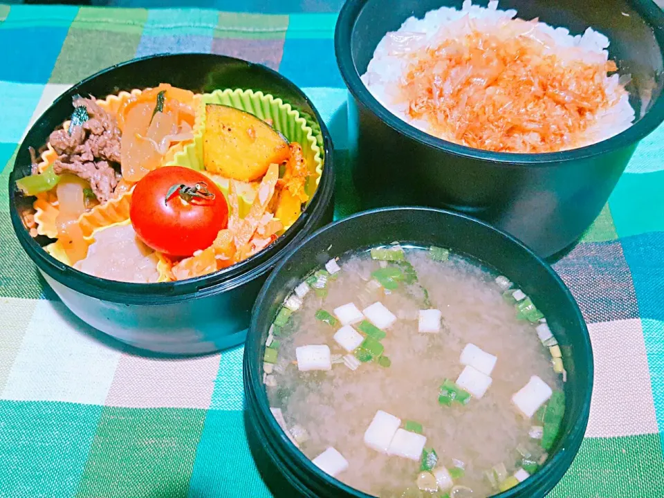 Snapdishの料理写真:お弁当。焼肉野菜炒めとシューマイとポテトとカボチャの塩バターとにんじんツナのきんぴらとお味噌汁。|エリカさん