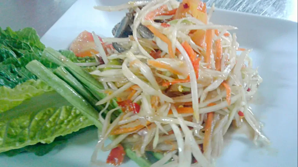 Snapdishの料理写真:Som Tum Thai (Thai papaya salad)|Jorge Bernal Márquezさん