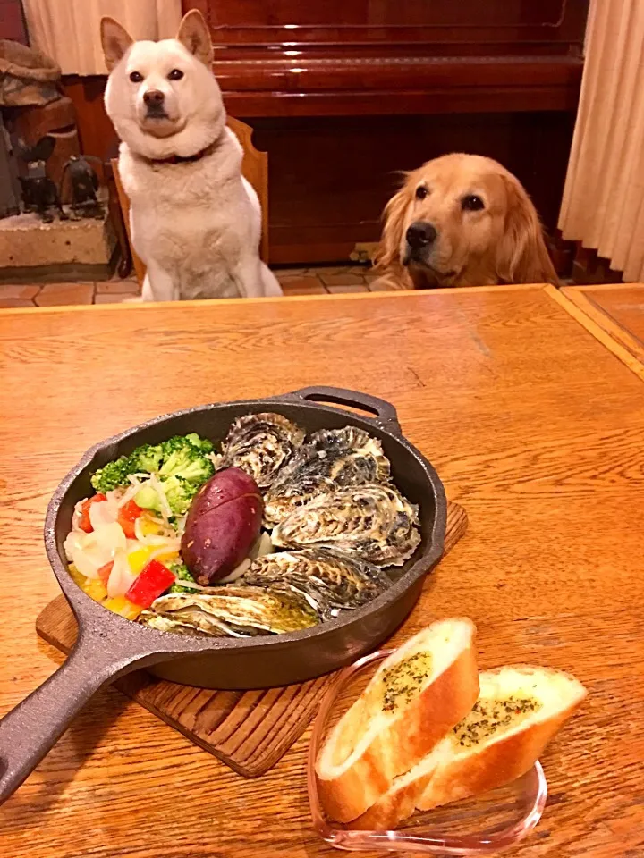 牡蠣の白ワイン蒸し🌟
モヤシとパプリカと玉ねぎブロッコリーのナムル添え🥗ミニ焼き芋🍠
チーズクッペ🧀ガーリックトースト🥖|きゅうちゃんさん