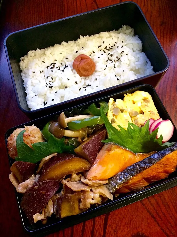 Snapdishの料理写真:よせあつめ弁当|二キィさん