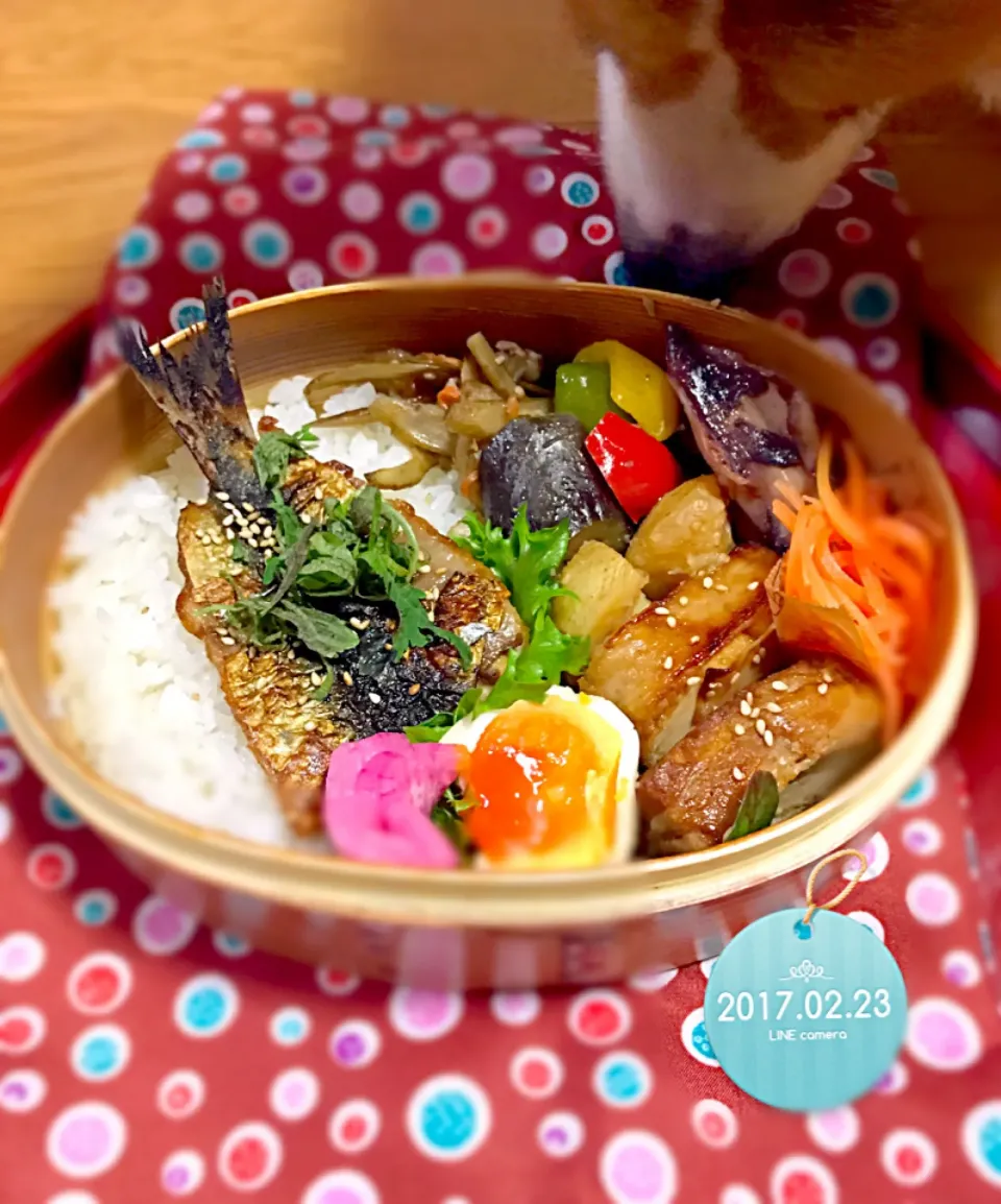 イワシの蒲焼き
茄子とピーマンの味噌炒め
厚揚げの肉巻き焼き
ヤリイカの煮物
じゃがいもの煮っころがし
きんぴらゴボウ
人参の甘酢漬け
煮玉子|mikiさん