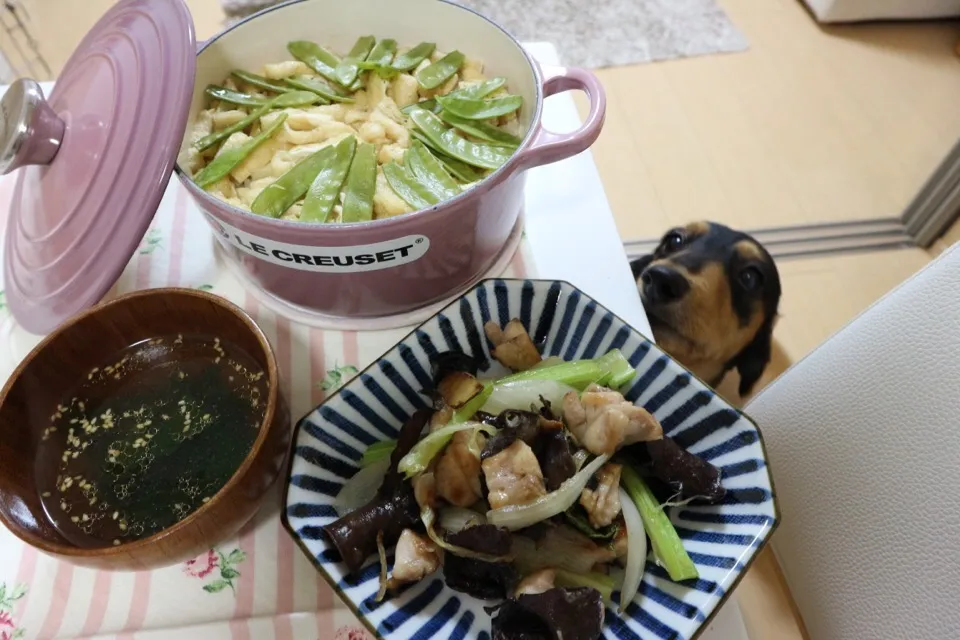 筍ご飯
キクラゲと鶏肉の塩炒め|ゆいさん