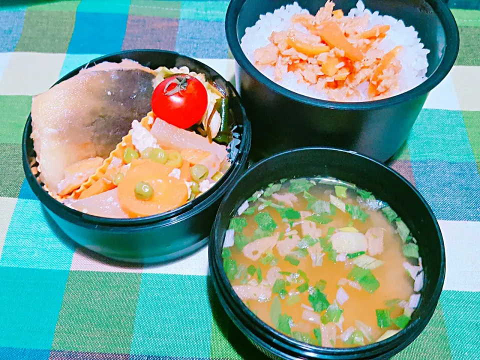 Snapdishの料理写真:お弁当。焼魚と五目煮と塩昆布わかめキャベツとお味噌汁。|エリカさん