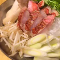 Snapdishの料理写真:金目鯛の水炊き
#金目鯛#鍋#水炊き|灯屋酒処Anjiさん