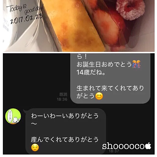 ただのケーキなんですけど。|shoooocoさん