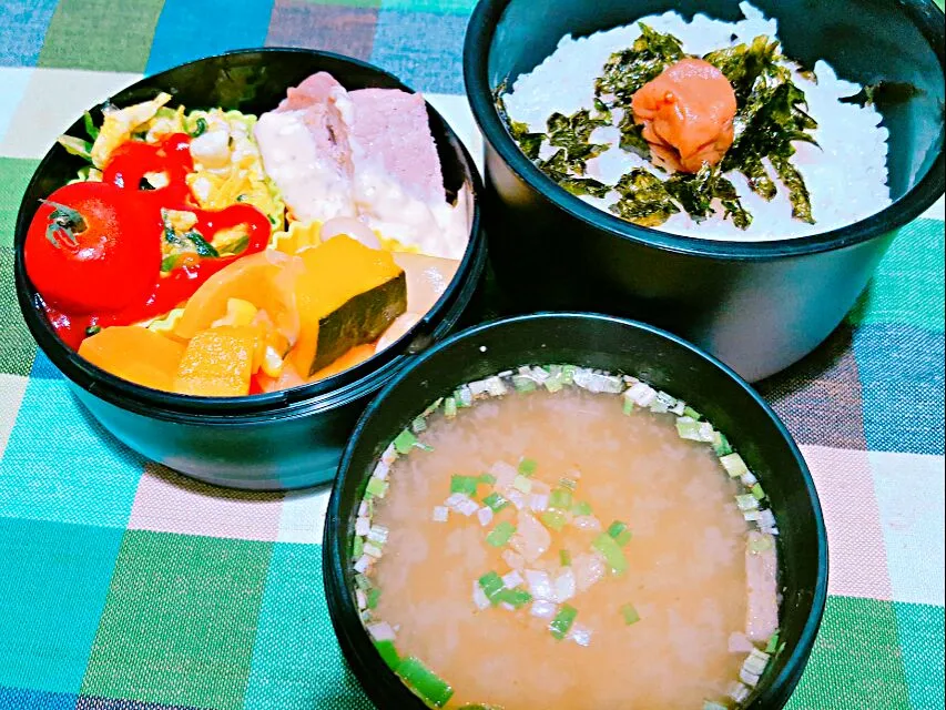 お弁当。豚肉タルタルとほうれん草ベーコンオムレツと野菜と豆トマト煮とお味噌汁。|エリカさん