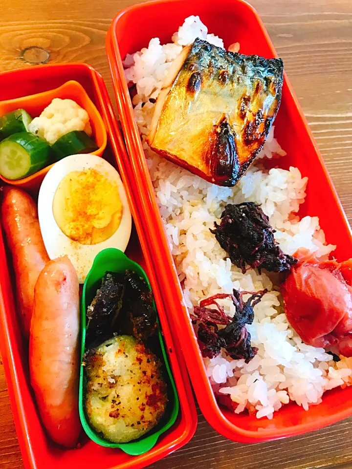 Snapdishの料理写真:今日のお弁当#自家製梅干し ##焼き塩サバ #あらびきウィンナー #カリフラワーときゅうりのピクルス#ナスの香草パン粉焼き#鶏塩味玉|料理家めーらさん