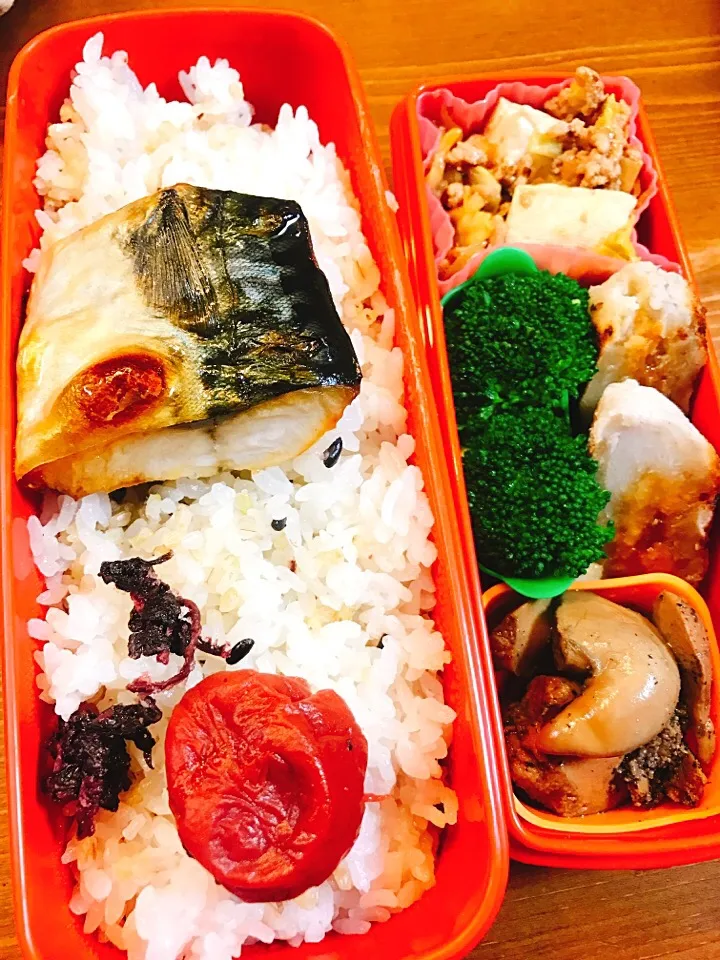 今日のお弁当#自家製梅干し #焼き塩サバ #茹でブロッコリー にトリュフマヨ#キャベツ入り麻婆豆腐#里芋のおやき風#ホタテのこっこ胡麻煮|料理家めーらさん