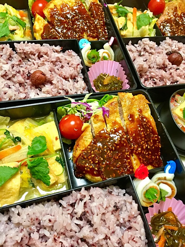 ピカタと白菜ツナ旨煮弁当|大久保 掬恵さん