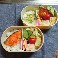 長女作お弁当|たけやぶさん