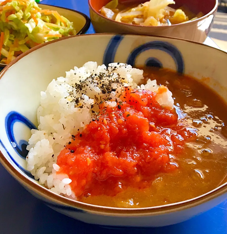 昼ごはん  自家製トマトソーストッピングカレー  サラダ 野菜スープsp|ぽんたさん