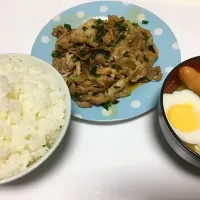 Snapdishの料理写真:豚肉とニラ炒め|みっつさん