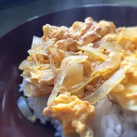 Snapdishの料理写真:10分で親子丼ランチ|duckyeriさん